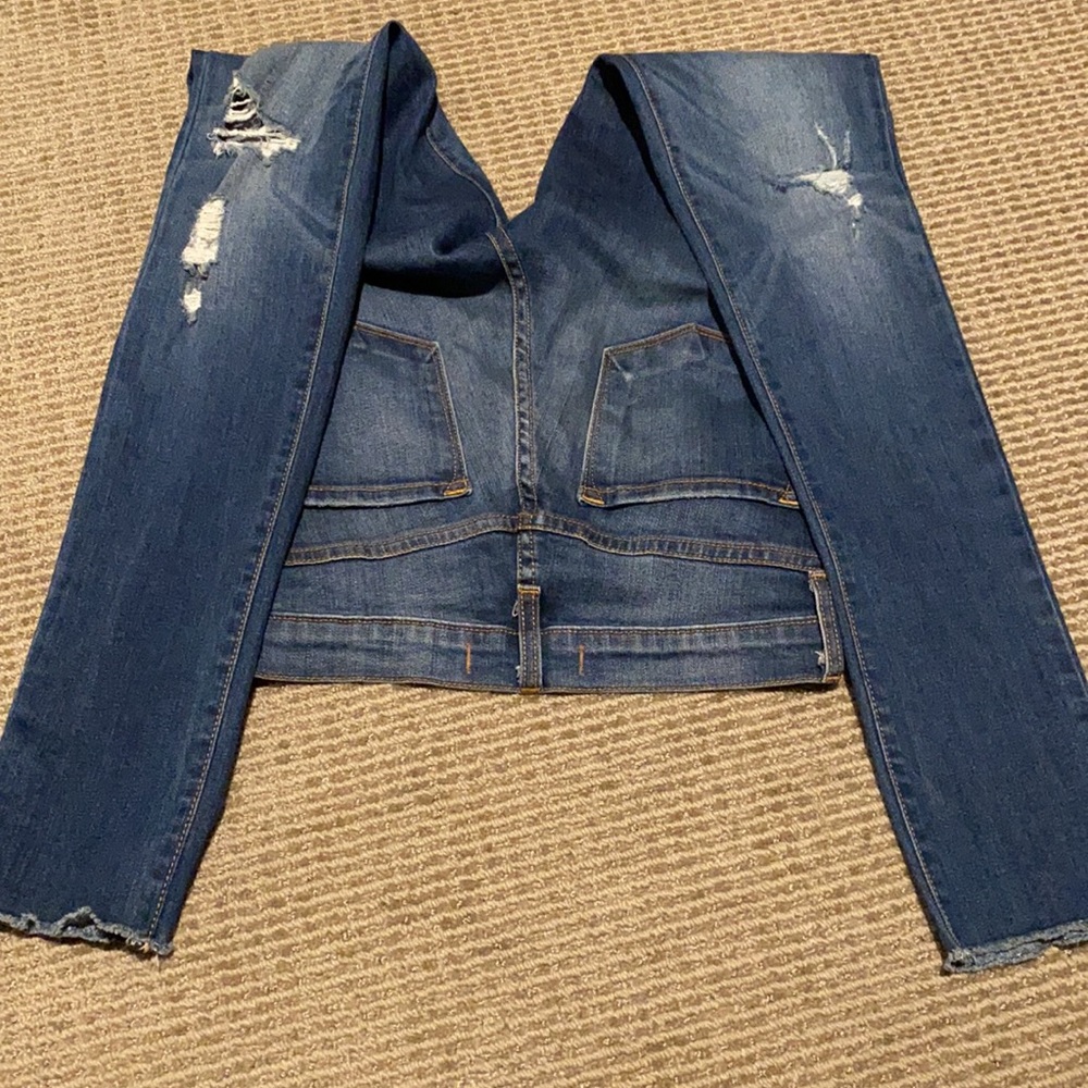 Flying Monkey 25 - image 2